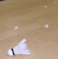 /album/a1%c3%a8re-journee-/cosec00032-jpg/